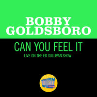 Can You Feel It - Bobby Goldsboro