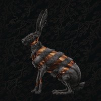 The Woods - San Fermin