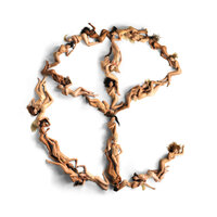 Wild Mustang - Yellow Claw, Cesqeaux, Becky G