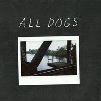 Snow Fences - All Dogs