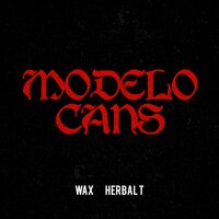 Modelo Cans - Wax, Herbal T