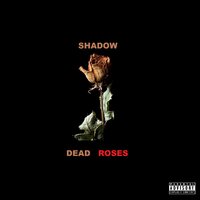 Dead Roses - Shadow