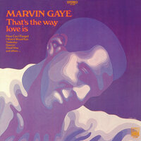 No Time For Tears - Marvin Gaye