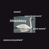 talk - Lil Hawk Boy, cartoon ben