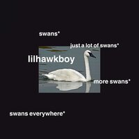 snakes - Lil Hawk Boy, al sweats