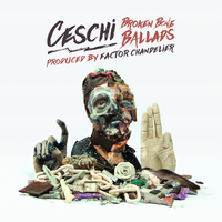 Rowing In Circles - Ceschi