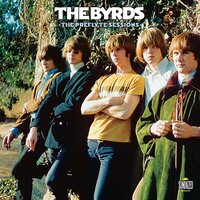 I Knew I'd Want You - The Byrds