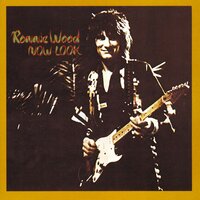 Now Look - Ronnie Wood