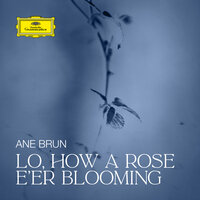Lo, How a Rose E'er Blooming - Ane Brun, Михаэль Преториус