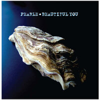 Beautiful You - Greg Pearle, John Illsley