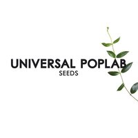Don't Believe the Hype - Universal Poplab