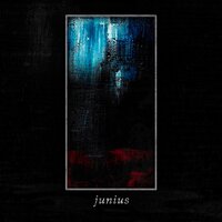 Forcing Out the Silence - Junius