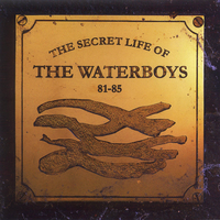 The Earth Only Endures - The Waterboys