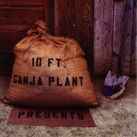 Top Down - 10 Ft. Ganja Plant