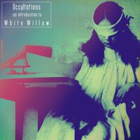Snowfall - White Willow