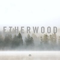 Frozen Grass - Etherwood