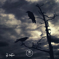 Shars 2020 - Al Safir