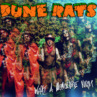 What A Memorable Night - Dune Rats