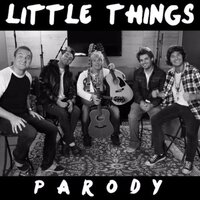 Little Things Parody - Bart Baker