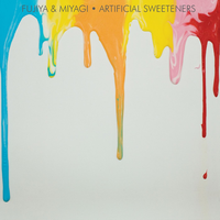 Artificial Sweeteners - Fujiya & Miyagi