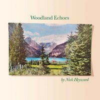 Baby Blue Sky - Nick Heyward