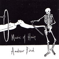 Song of Foot - Andrew Bird