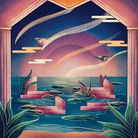 Summer Nights - Nature TV