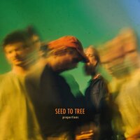 Comfort Me - Seed To Tree