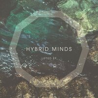 Lifted - Hybrid Minds, Matt Banks