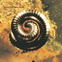 Closer (Internal) - Nine Inch Nails