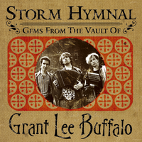 We're Coming Down - Grant Lee Buffalo