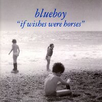 Sea Horses - Blueboy