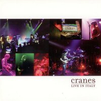 Sunrise - Cranes