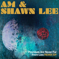 Dark Into Light - AM & Shawn Lee