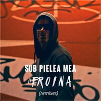 Sub Pielea Mea - Carla's Dreams, DJ Dark