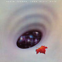 Messin' The Blues - Robin Trower