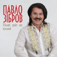 Білий цвіт на калині -