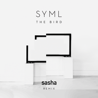 The Bird - SYML, Sasha