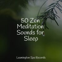 Heaven on the Keys - Asian Zen Spa Music Meditation, Mindfulness Mediation World, Master Meditação