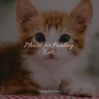 Calming Breeze - Dog Music, Pet Care Club, Calm Doggy