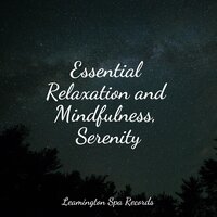 Gentle Sleep Music - Oasis of Meditation, Massage Music, Internal Yoga