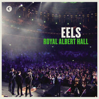 The Beginning - Eels