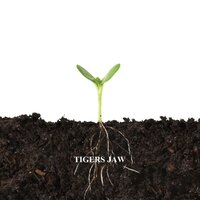 Lodging - Tigers Jaw