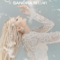 Liar - Sandra N