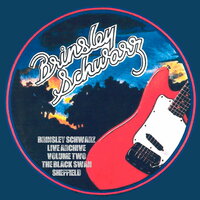 What's so Funny 'Bout (Peace Love and Understanding) - Brinsley Schwarz