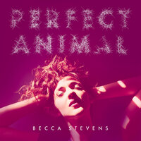 Imperfect Animals - Becca Stevens