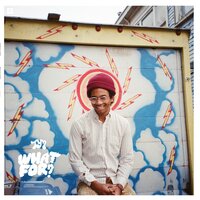What You Want - Toro Y Moi