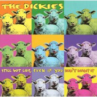She's A Hunchback - The Dickies