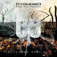This Is the Night - Cygnosic