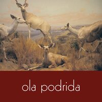 Instead - Ola Podrida